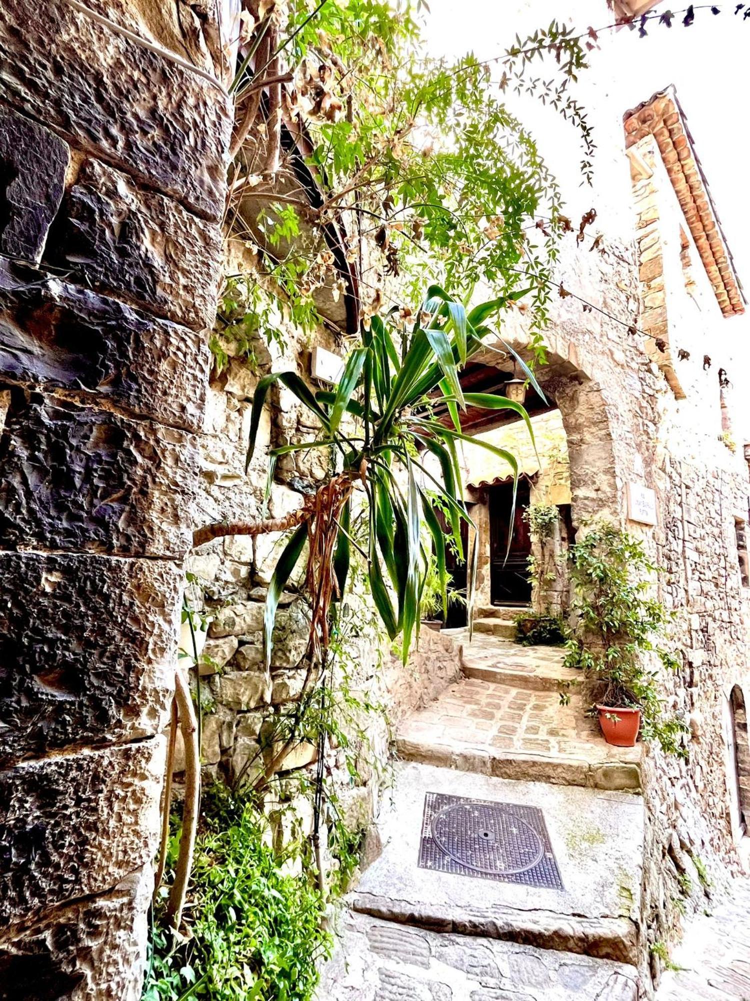 Gite Des Remparts Luceram Экстерьер фото