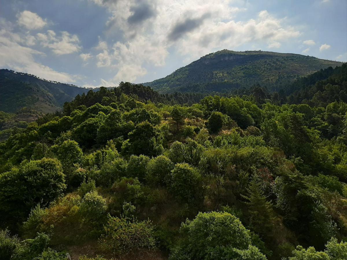 Gite Des Remparts Luceram Экстерьер фото